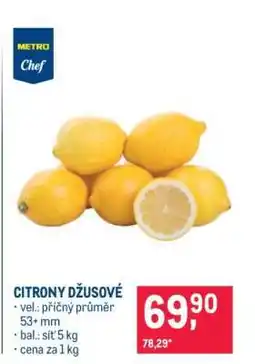 Makro Citrony džusové nabídka