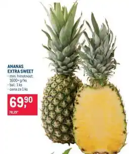 Makro Ananas Extra Sweet nabídka