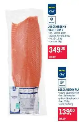 Makro Losos obecný filet trim D nabídka