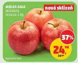 Penny Market JABLKA GALA nabídka