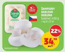 Penny Market Žampiony Karlova Koruna nabídka