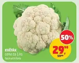 Penny Market Květák nabídka