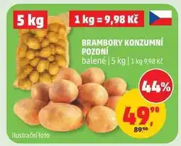 Penny Market Brambory konzumní pozdní nabídka