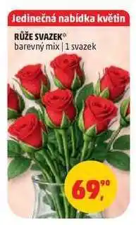 Penny Market Růže svazek nabídka