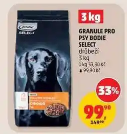 Penny Market GRANULE PRO PSY BODIE SELECT nabídka