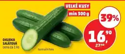 Penny Market OKURKA SALÁTOVÁ nabídka