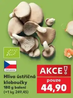 Kaufland Hlíva ústřičná kloboučky nabídka