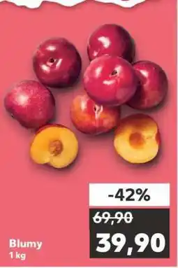 Kaufland Blumy nabídka