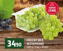 Terno Hrozny bílé bezsemenné nabídka