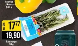 Jip Rozmarýn nabídka