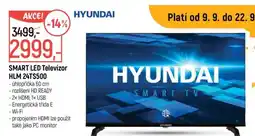 Globus SMART LED Televizor HLM 24T5500 nabídka