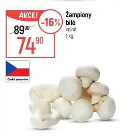 Globus Žampiony bílé nabídka