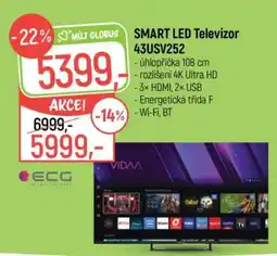 Globus SMART LED Televizor 43USV252 nabídka