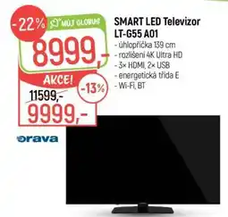Globus SMART LED Televizor LT-G55 A01 nabídka