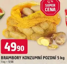 Trefa Brambory konzumní pozdní nabídka