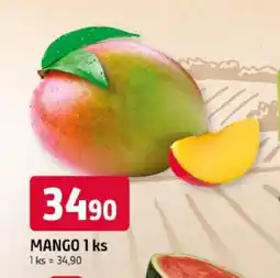 Trefa Mango nabídka