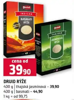Terno Druid rýže nabídka