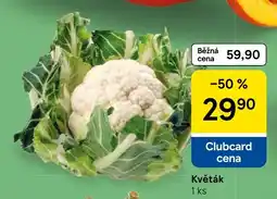Tesco Květák nabídka