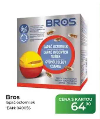 Bros lapač octomilek