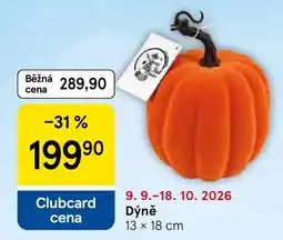 Tesco Dýně nabídka