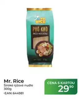 Tamda Foods Mr. Rice široké rýžové nudle nabídka