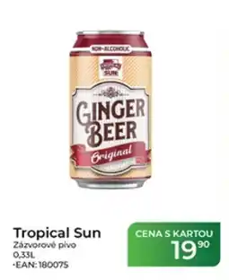 Tamda Foods Tropical Sun Ginger Beer Original nabídka