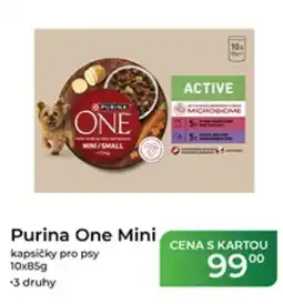 Tamda Foods Purina One Mini nabídka