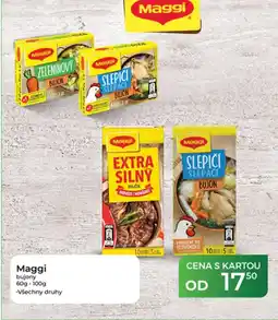Tamda Foods Maggi bujony nabídka