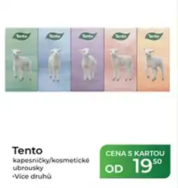 Tamda Foods Tento kapesničky/kosmetické ubrousky nabídka