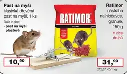 Barevný ráj Ratimor past na myši nabídka