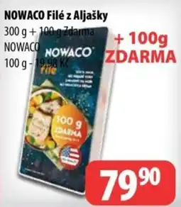 Partner Maloobchodní síť Nowaco filé z aljašky nabídka