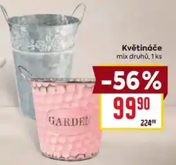 Billa Květináče mix druhů nabídka