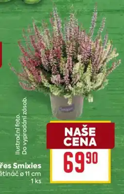 Billa Smixies nabídka