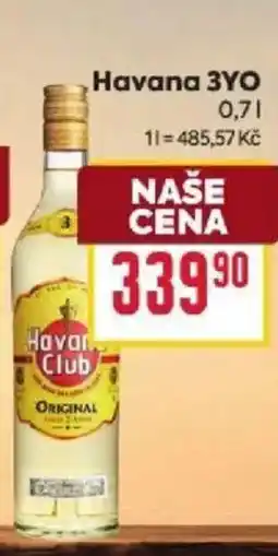 Billa Havana 3YO nabídka