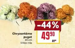 Billa Chryzantéma puget nabídka