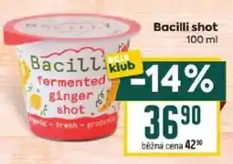 Billa Bacilli fermented ginger shot nabídka