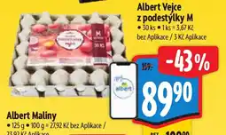 Albert Albert Vejce nabídka