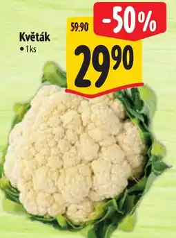Albert Květák nabídka