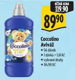 Albert Coccolino Aviváž nabídka