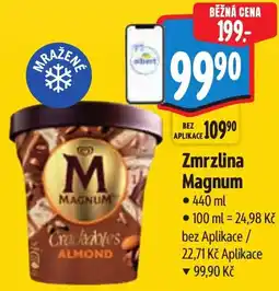 Albert Magnum Zmrzlina nabídka