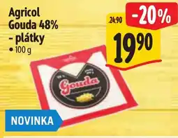 Albert Agricol Gouda 48% nabídka