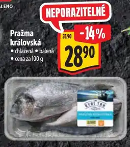 Albert Pražma královská nabídka