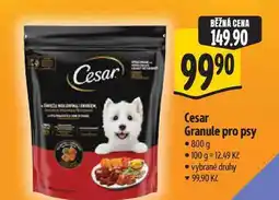 Albert Cesar Granule pro psy nabídka