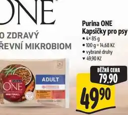 Albert Purina ONE Kapsičky pro psy 4× nabídka