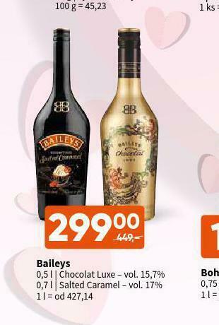 Terno Baileys nabídka