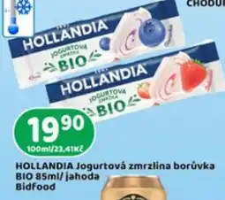 Brněnka Hollandia jogurtová zmrzlina borůvka bio nabídka