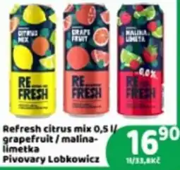 Brněnka Refresh citrus mix grapefruit / malina-limetka nabídka