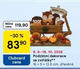 Tesco Podzimní dekorace se zvířátky nabídka