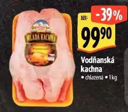 Albert Vodňanská kachna nabídka