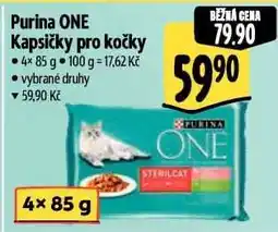 Albert Purina ONE Kapsičky pro kočky nabídka